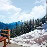 Nase At 1700m In The Zillertal Chalet