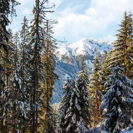 Nase At 1700m In The Zillertal *