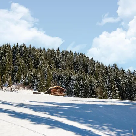 Dağ evi Nase At 1700m In The Zillertal Hippach-Schwendberg