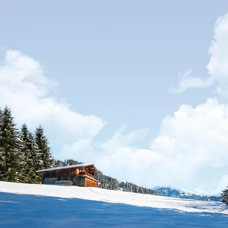 Nase At 1700m In The Zillertal Шале