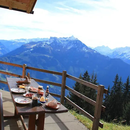 Nase At 1700m In The Zillertal Dağ evi Hippach-Schwendberg