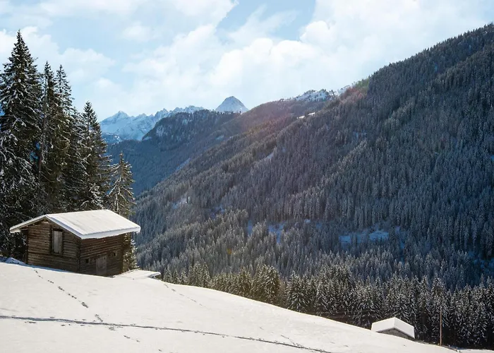 Nase At 1700m In The Zillertal * Hippach-Schwendberg