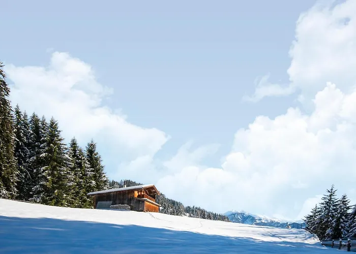 Nase At 1700m In The Zillertal Alpesi faház