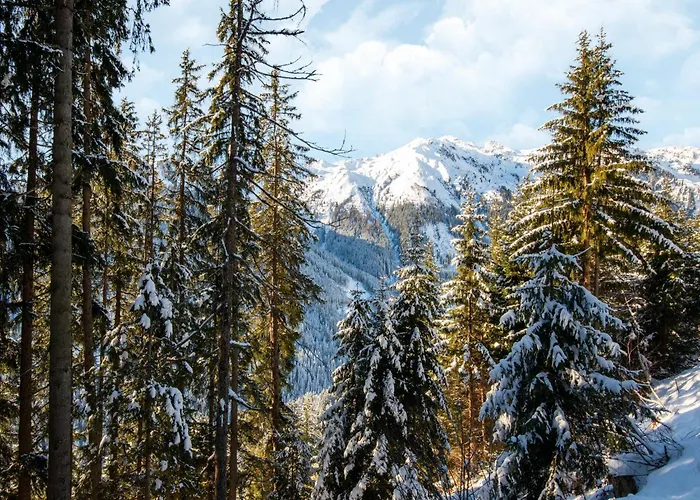 Nase At 1700m In The Zillertal *