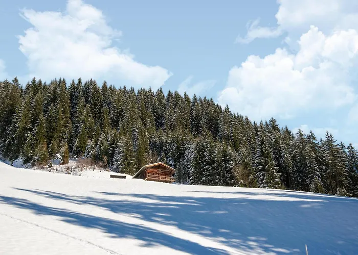 Dağ evi Nase At 1700m In The Zillertal Hippach-Schwendberg